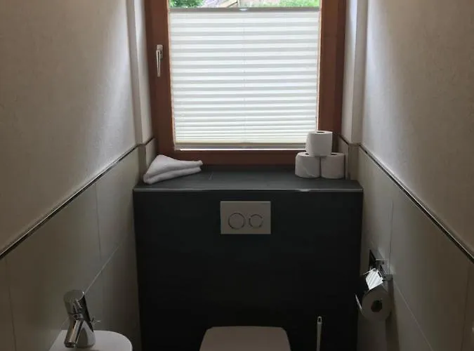 Anja Sunleit'n 费尔兹姆斯